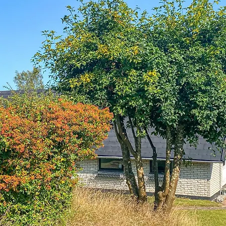 Awesome In With Wifi Tatil Evi *